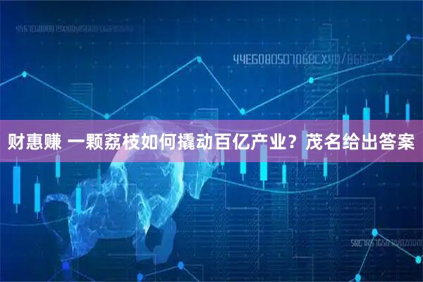 财惠赚 一颗荔枝如何撬动百亿产业？茂名给出答案