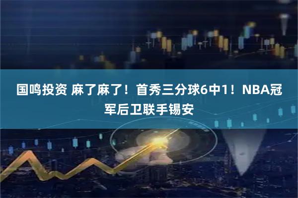 国鸣投资 麻了麻了！首秀三分球6中1！NBA冠军后卫联手锡安
