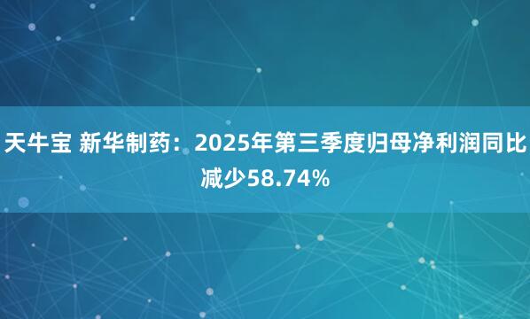 天牛宝 新华制药：2025年第三季度归母净利润同比减少58.74%