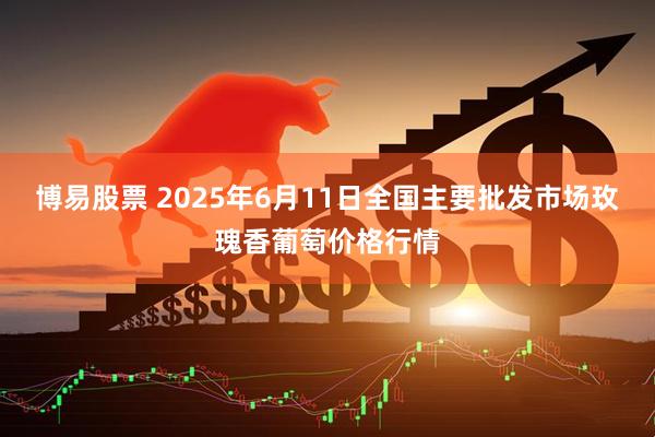 博易股票 2025年6月11日全国主要批发市场玫瑰香葡萄价格行情