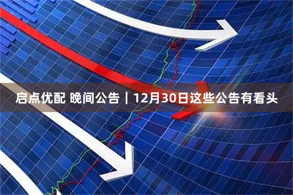 启点优配 晚间公告｜12月30日这些公告有看头