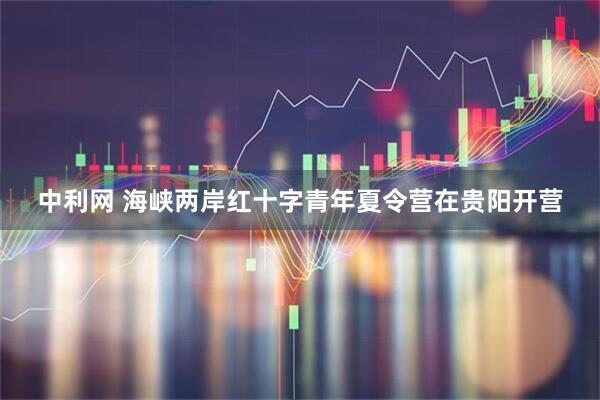 中利网 海峡两岸红十字青年夏令营在贵阳开营